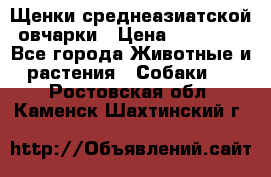 Щенки среднеазиатской овчарки › Цена ­ 20 000 - Все города Животные и растения » Собаки   . Ростовская обл.,Каменск-Шахтинский г.